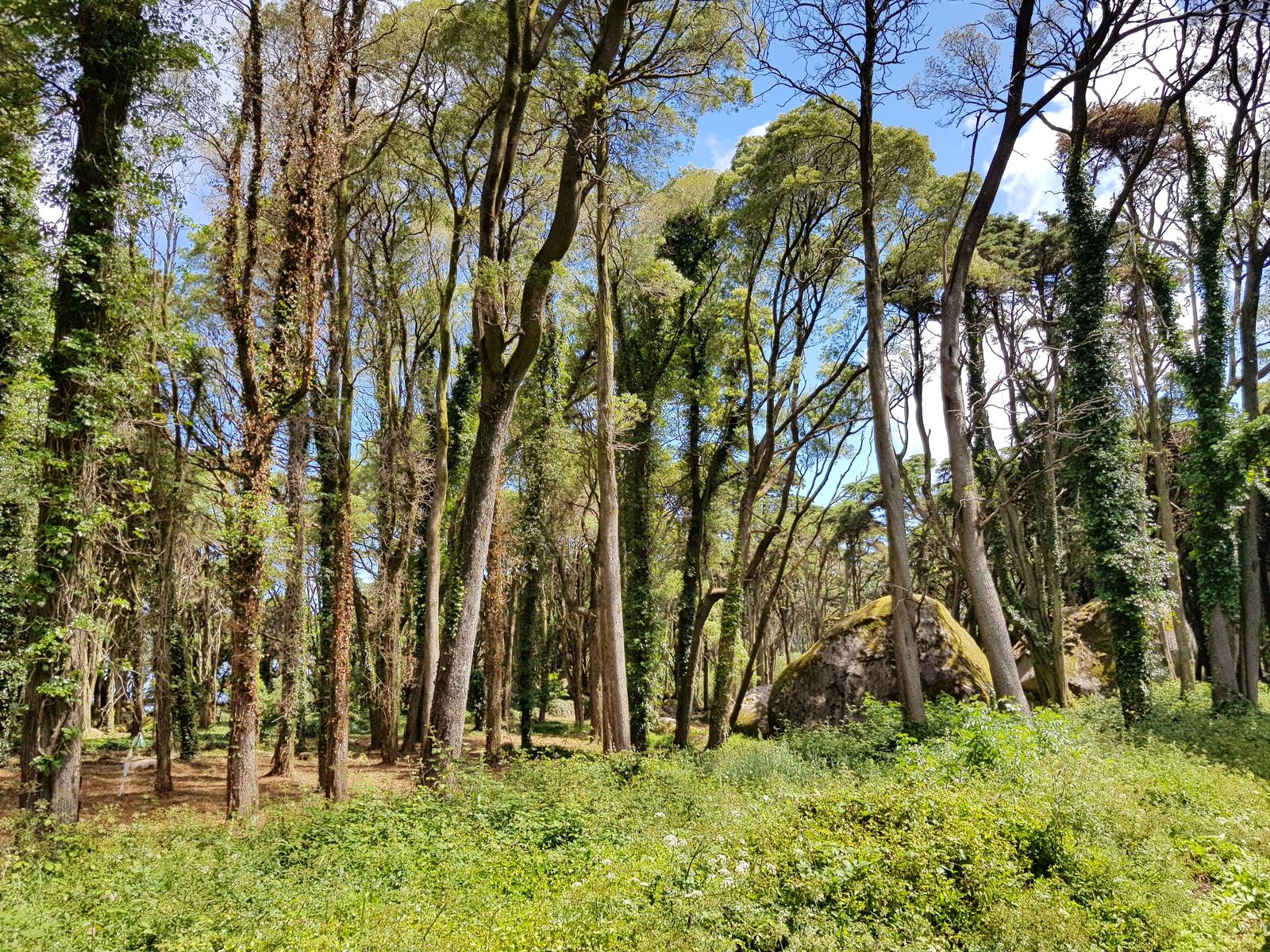 Senhora da Peninha Sintra